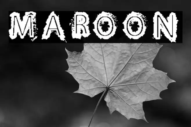 MAROON Example 1