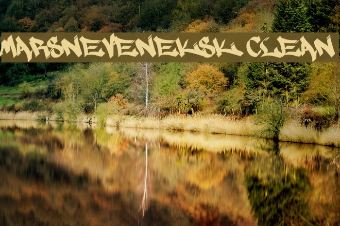 MARSNEVENEKSK Clean Example 1