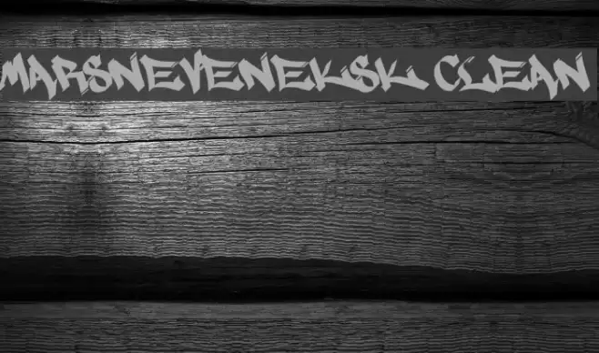 MARSNEVENEKSK Clean Font examples