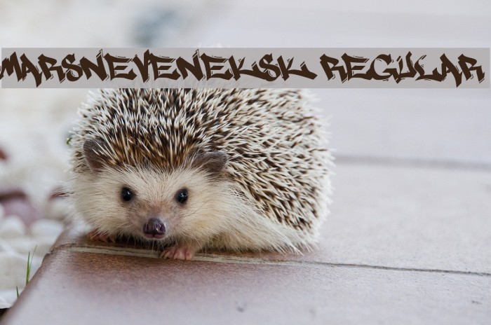 MARSNEVENEKSK Regular Example 1