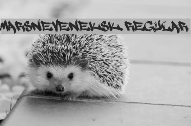 MARSNEVENEKSK Regular Font examples