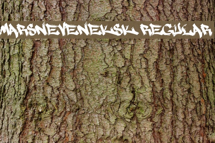 MARSNEVENEKSK Regular Example 3