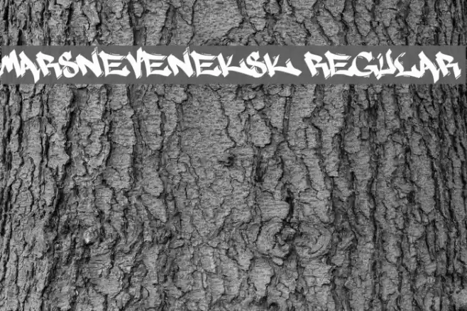 MARSNEVENEKSK Regular Font examples