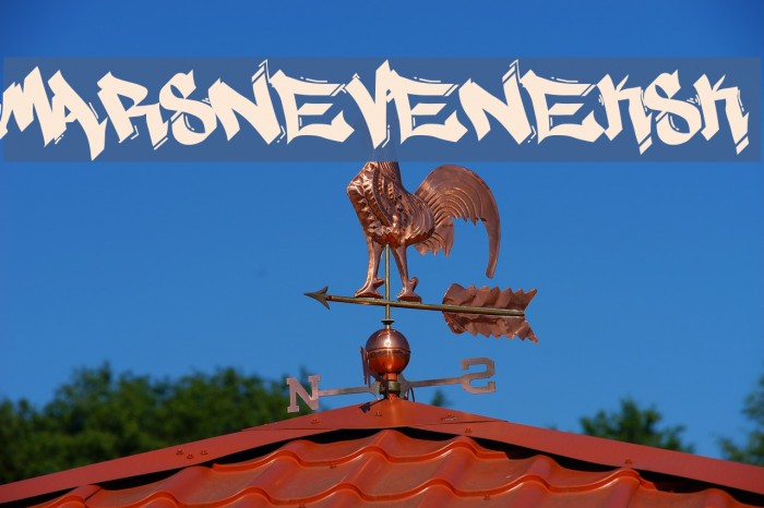 MARSNEVENEKSK Example 3