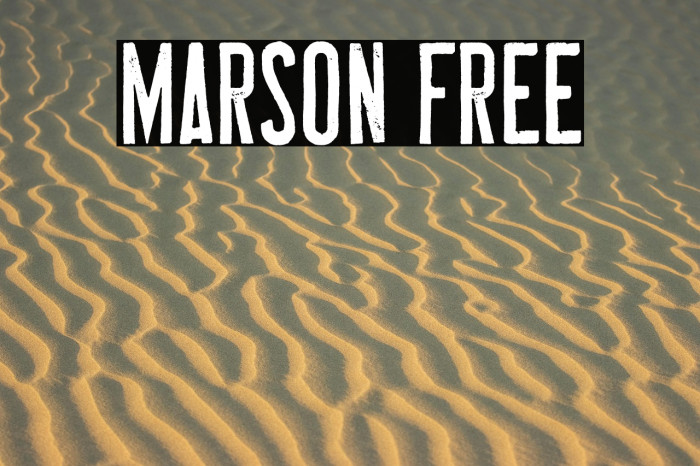 MARSON Free Example 1