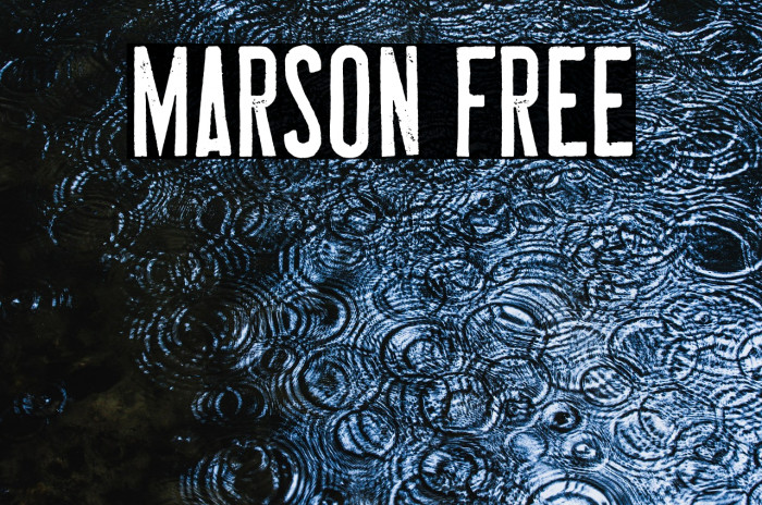 MARSON Free Example 2