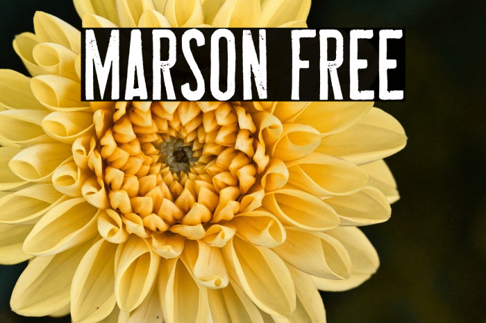 MARSON Free Example 3