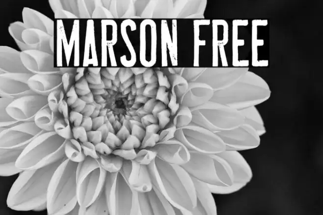 MARSON Free Example 3