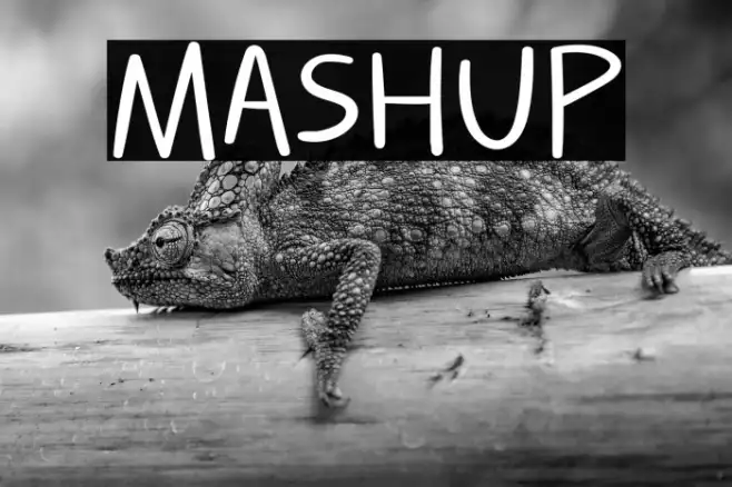 MASHUP Example 1