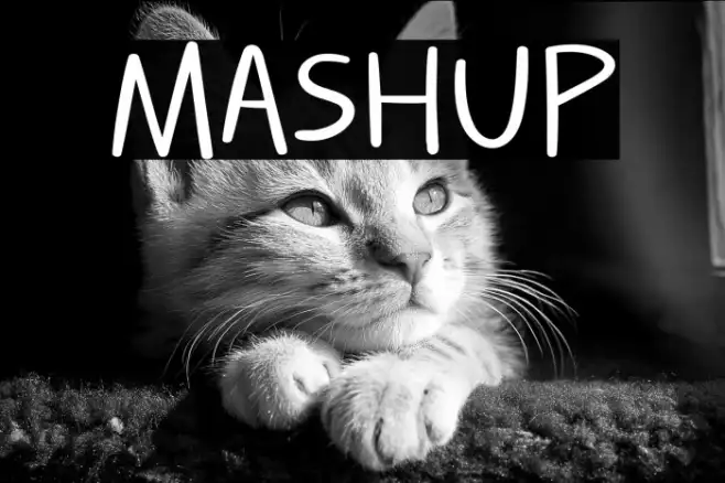 MASHUP Example 3