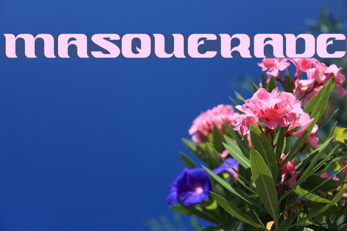 MASQUERADE Example 3