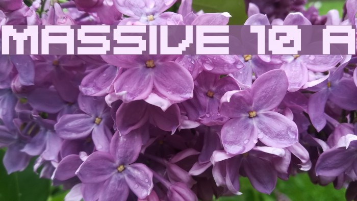 MASSIVE 10 A Font examples