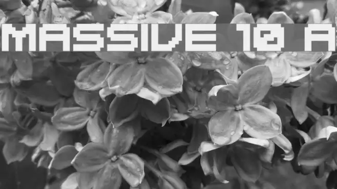MASSIVE 10 A Example 1