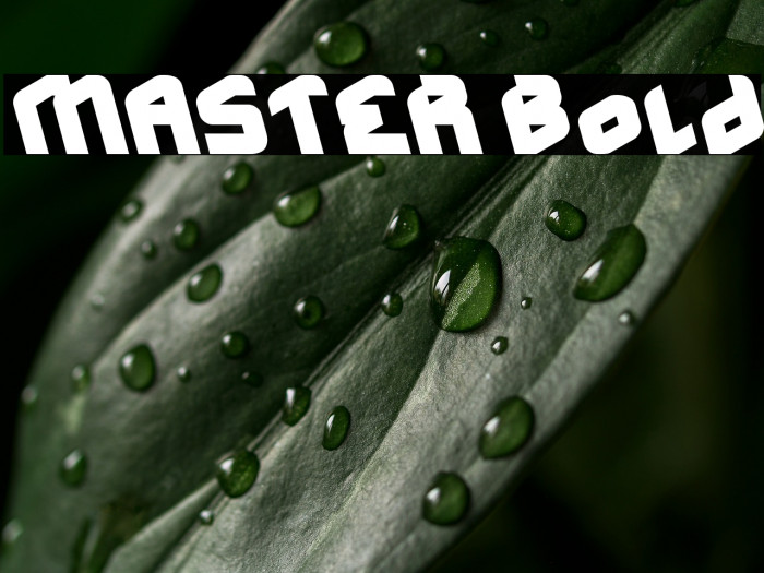 MASTER Bold Example 1