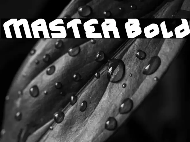 MASTER Bold Example 1