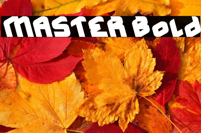MASTER Bold Example 2