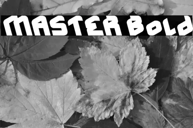 MASTER Bold Example 2