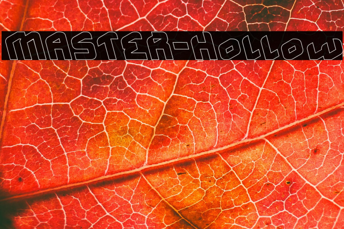 MASTER-Hollow Example 1