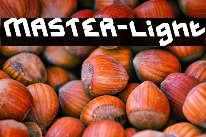 MASTER-Light Example 1