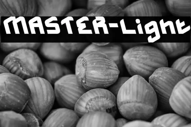 MASTER-Light Font examples