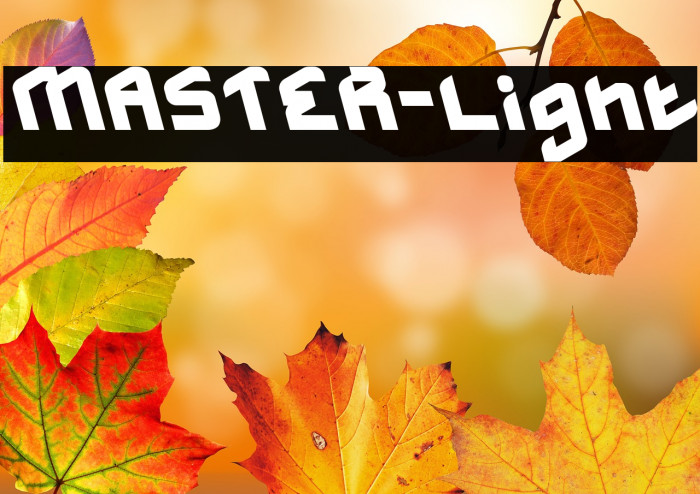 MASTER-Light Example 2