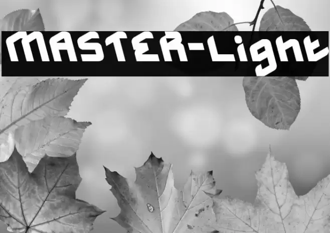 MASTER-Light Font examples