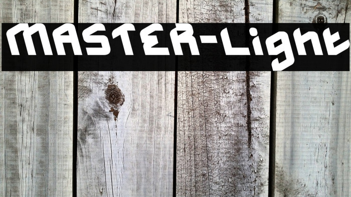 MASTER-Light Example 3