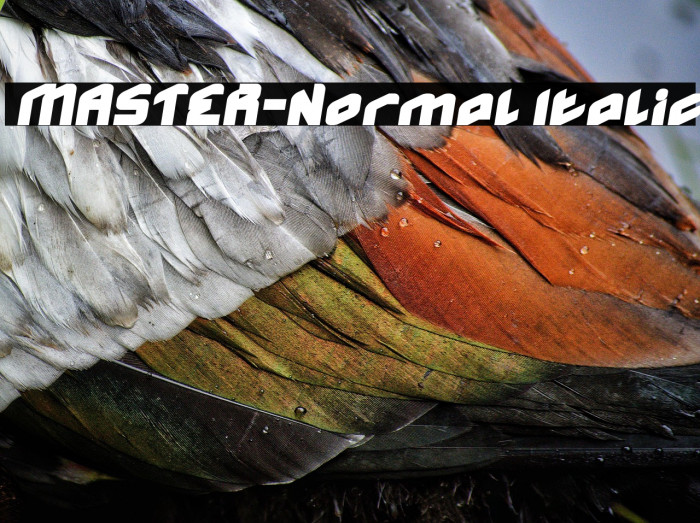 MASTER-Normal Italic Example 1