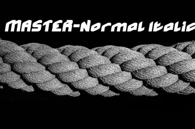 MASTER-Normal Italic Font examples