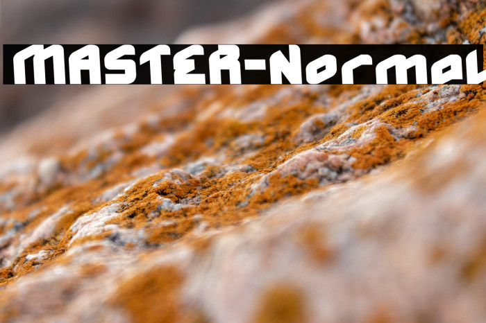 MASTER-Normal Example 1