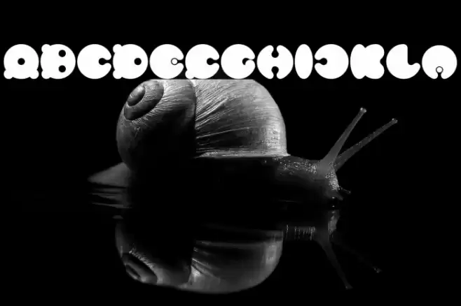 MASTER PANDA Bold Font examples