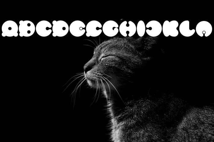 MASTER PANDA Bold Example 2