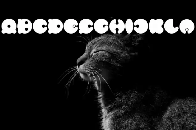 MASTER PANDA Bold Font examples