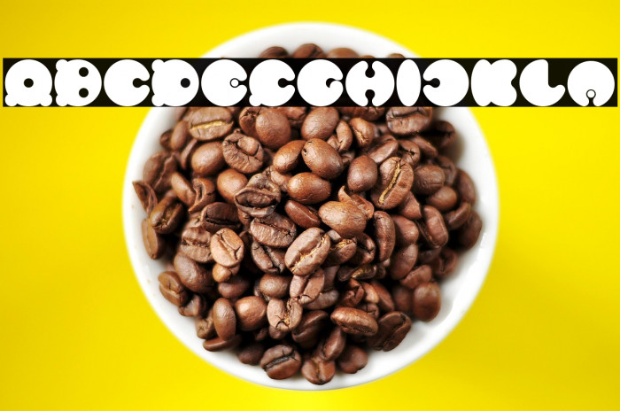 MASTER PANDA Bold Example 3