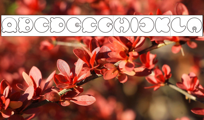 MASTER PANDA-Hollow-Inverse Example 2