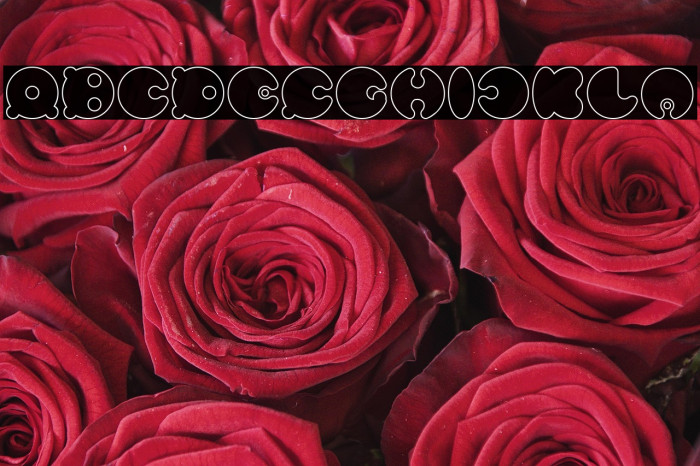 MASTER PANDA-Hollow Example 2