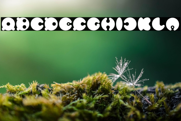 MASTER PANDA-Light Example 1