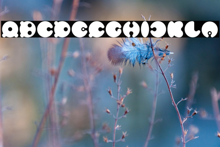 MASTER PANDA Example 2