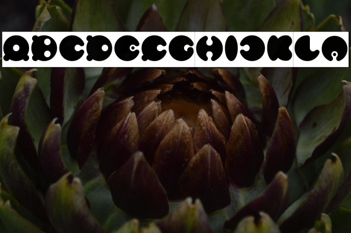 MASTER PANDA Example 2