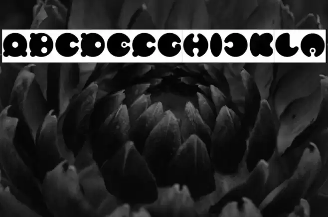 MASTER PANDA Font examples