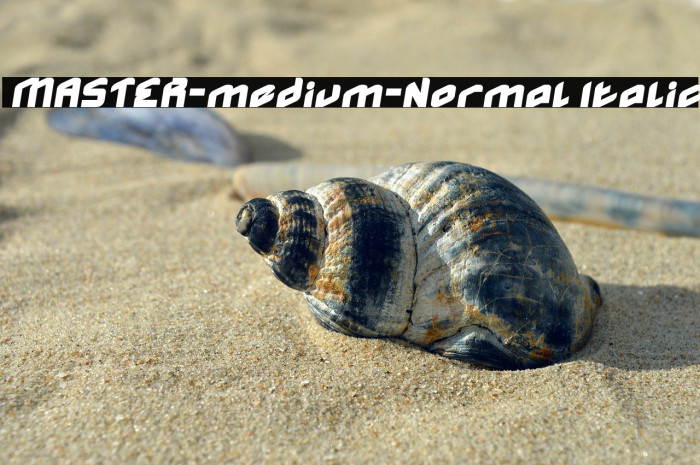 MASTER-medium-Normal Italic Example 3