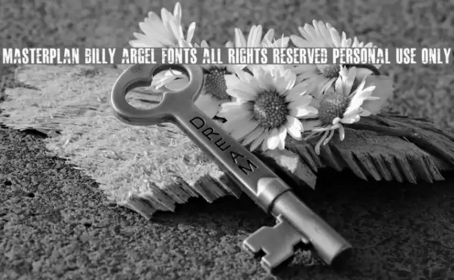 MASTERPLAN Billy Argel fonts All Rights Reserved personal use only Polices examples
