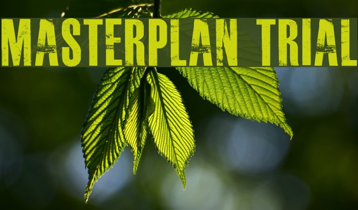 MASTERPLAN TRIAL Font examples