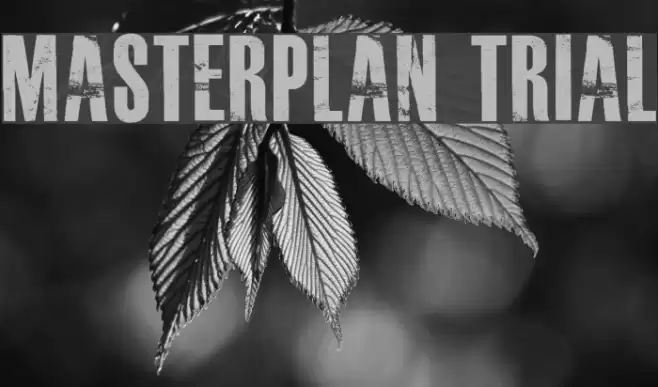 MASTERPLAN TRIAL Font examples