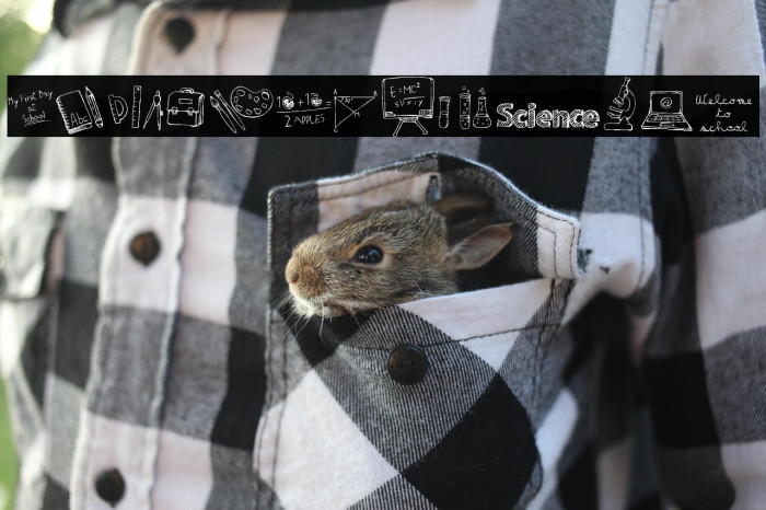 MATILDAS BACK TO SCHOOL_Demo Example 1