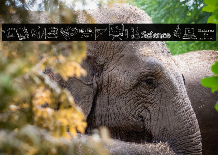 MATILDAS BACK TO SCHOOL_Demo Example 3