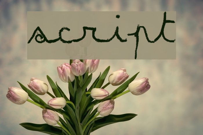 MATILDAS GRADE SCHOOL HAND_DEMO_script Font examples