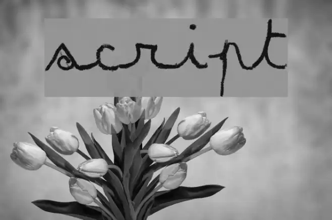 MATILDAS GRADE SCHOOL HAND_DEMO_script Font examples