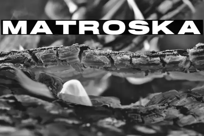 MATROSKA Example 3