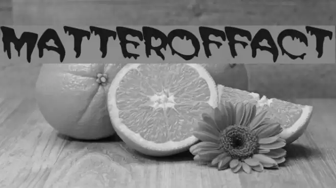 MATTEROFFACT Fonte examples